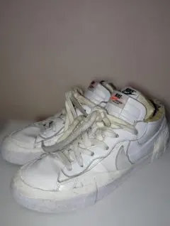 Item thumbnail for item 94952076-285f-4cf9-8956-109894cb16ec