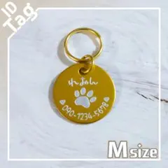 Item thumbnail for item c881ed5f-c5af-4b09-bc73-87f18e2e91a6