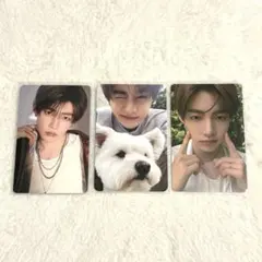 pi様 リクエスト 2点 まとめ商品