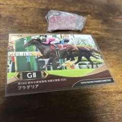 競馬　プラダリア　グッズセット