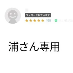 浦さん専用 【PEARLY GATES】BEAMSコラボ 半袖Tシャツ ネイビーのサムネイル