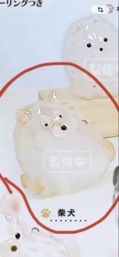 【柴犬(茶)】うちの子のけだまだま