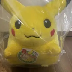 【新品】ポケットモンスター ポケモン30周年記念　おかえり！ピカチュウ