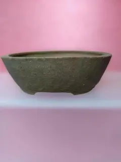 陶器製グレー楕円形、小品盆栽鉢