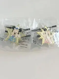 ディズニーシー　20周年　ピンバッジ①