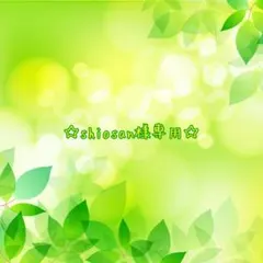 shiosan様専用！スワロフスキー耳つぼジュエリー2シート(銀粒)