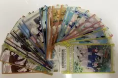 ハイキュー チケット風カード 烏野 青葉城西 音駒 梟谷 白鳥沢 稲荷崎