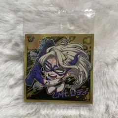 ぴかり様専用2点 まとめ商品