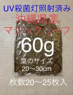 沖縄県やんばる産マジックリーフ 60g 20〜25枚入 UV殺菌灯照射済み⑥のサムネイル