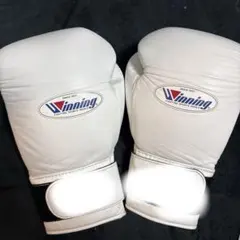 2026年最新】ウイニング ボクシンググローブ 12オンスの人気アイテム