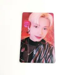 ジュン トレカ シーグリ 2023 SEVENTEEN シーズングリーティング