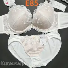 E85 LL 新品未使用 大きいサイズ ブラショーツセット 1298 白 脇高