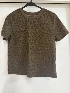 Dazy ヒョウ柄Tシャツのサムネイル