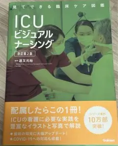 みっつー様専用　ICUビジュアルナーシング