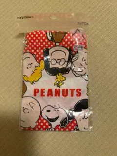 Item thumbnail for item d55e5726-7335-4561-8623-beb7ab9d47a6