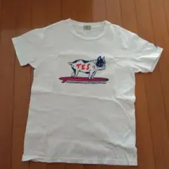 TES 犬イラスト ホワイトTシャツ 半袖