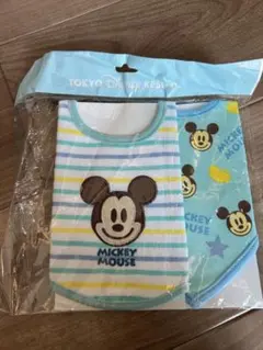 東京ディズニーリゾート ミッキーマウス スタイ 2枚セット