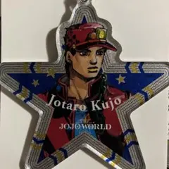 ジョジョの奇妙な冒険　空条承太郎