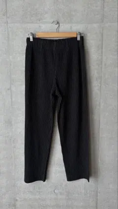 homme plisse basics パンツのサムネイル