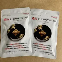 Vitabrid ターミナリアファーストプロフェッショナル 120粒×2袋 - メルカリ