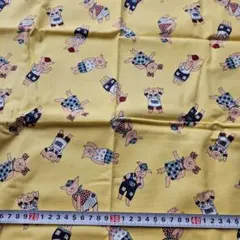 Item thumbnail for item 42afc211-7fc3-43e5-896b-c891d5a42965