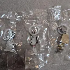 PEANUTS めじるしアクセサリー FUNNYver.