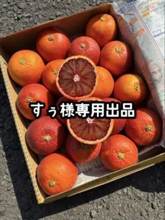 すぅ様専用出品