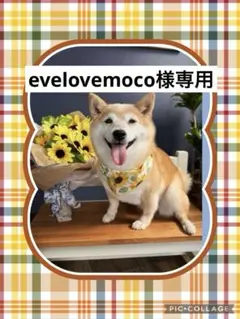 evelovemoco様専用　強運お守りマスコットチャーム２個