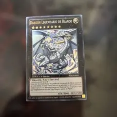 2026年最新】LEGENDARY DRAGON OF WHITEの人気アイテム - メルカリ