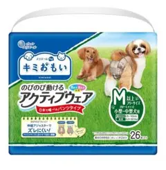 Item thumbnail for item c9ee89bc-4d90-4090-a8eb-6bbde0be8a6b