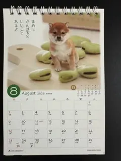 子犬　柴犬 卓上カレンダー2026のサムネイル