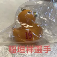 名古屋グランパス バスダック　ガチャ　稲垣祥 15