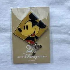 東京ディズニーリゾート 25周年 ドナルド ピンバッジ - メルカリ