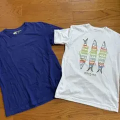 Item thumbnail for item 97562450-5e08-44ad-9317-a699e010a0b1