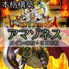山屋 即日発送 アマゾネスデッキ 構築済みデッキ まとめ売り - メルカリ