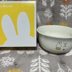 Item thumbnail for item 899aa24b-d3e5-4f77-b82b-4b795110e83e