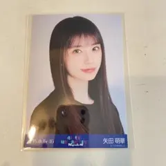 ❀乃木坂46 矢田萌華 生写真 14thBDライブTシャツ ヨリチュウ