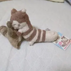 ポケモンおおたちおたちむぎゅ！ぬいぐるみ