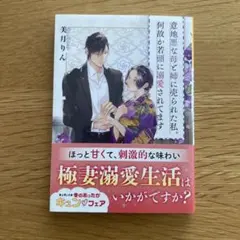 2026年最新】篁ふみの人気アイテム - メルカリ