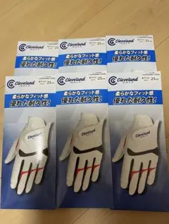 Item thumbnail for item cef0b396-0112-4986-a8ca-3b532a43bc4b