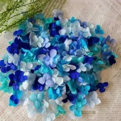 かなみ様 リクエスト 2点 まとめ商品