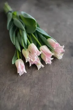 fu-mi様 リクエスト 2点 まとめ商品