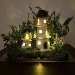 ドライリーフ庭+3階建ハウスのサムネイル