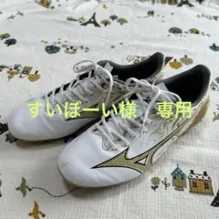 2025年最新】ミズノ アルファ 24.5の人気アイテム - メルカリ