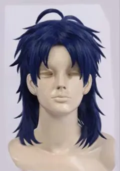 刀剣乱舞 刀剣男士 太鼓鐘貞宗 たいこがねさだむね ウィッグ