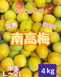 最高の木熟‼️和歌山県産 紅南高梅 2Lサイズ 5kg みかんキング 和歌山県産 完熟南高梅‼️L〜M混合‼️5kg みかんキング 家庭用 - メルカリ
