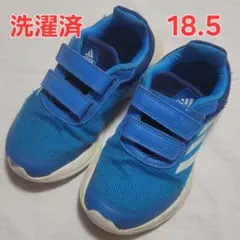 Item thumbnail for item 5a1a66df-38bb-4247-8eb0-43542247855c