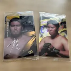 Item thumbnail for item d1379649-055f-4dcc-9f93-3852af91ce6a