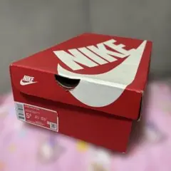 お値下げしました!!NIKE W AIR MAX 97 ESS 5.5