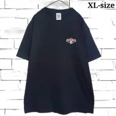 2026年最新】BEASTIE BOYS ビースティー ボーイズ GRAND ROYAL TEE (T